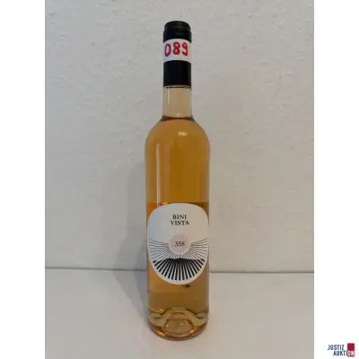 BiniVista 358° Puig de Massanella – kavel bij Justiz-Auktion, Leipzig