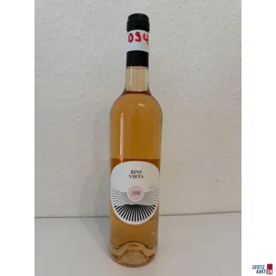 BiniVista 358° Puig de Massanella – kavel bij Justiz-Auktion, Leipzig