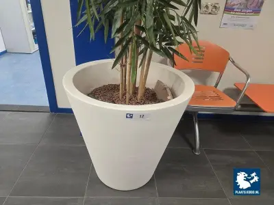 2 x Kunstplant in pot – kavel bij Plaats Je Bod, Hoorn