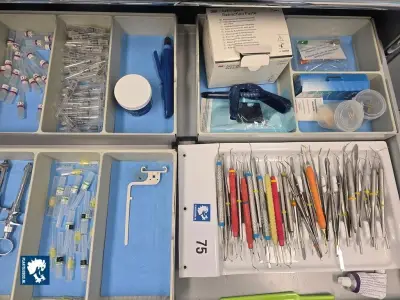 1 x Partij diverse tandartsinstrumenten en materialen in lades – kavel bij Plaats Je Bod, Hoorn