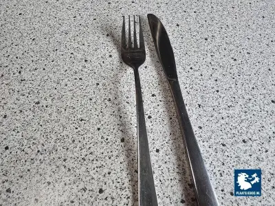 1 x Partij mes en vork in 2 x krat – kavel bij Plaats Je Bod, Harmelen