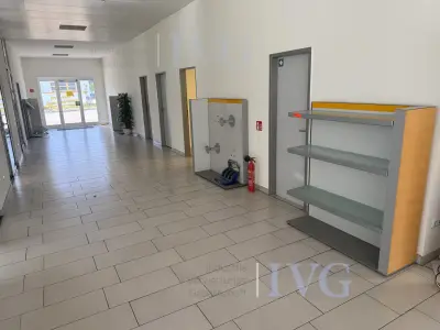 Categorie: Decoratieartikelen – kavel bij IVG, Wilhelmshaven
