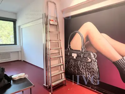 Aluminium trapladder LEIFHEIT – kavel bij IVG, Stuttgart