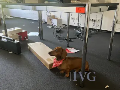 Bureau USM HALLER – kavel bij IVG, Stuttgart