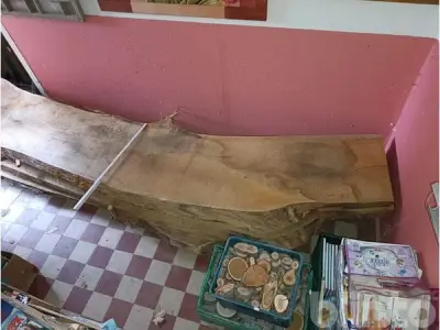 Eichenholzbohlen massives Material – kavel bij Blinto, Blankenburg / Harz