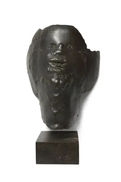 Wilfried PAS (1940-2017) Visage Bronze à patine foncée Signé à l'arrière "Wilfried Pas" 25,5… – kavel bij Galerie Moderne, Elsene (Brussel)