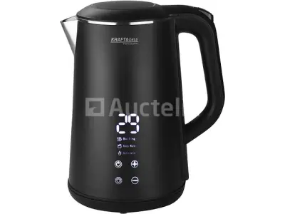 Waterkoker met temperatuurregeling 1,6 L – kavel bij Auctelia, Aye