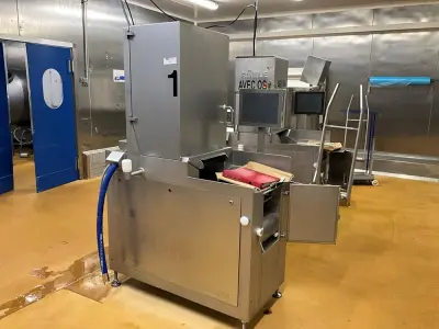 RÜHLE IR 56 Brine Injector – kavel bij Dome Auctions, Kingersheim
