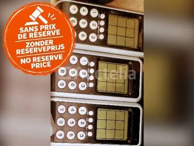 Computerspelletjes Geheugentrainer – kavel bij Auctelia, Malle
