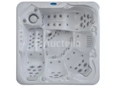 Outdoor Spa 5-persoons 220x220x90 cm - Sneeuwwit bad met antraciete zijkant - Incl. Bluetooth – kavel bij Auctelia, Tholen