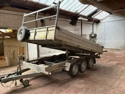 2018 Tack K35 Tridemas Kipper – kavel bij Dome Auctions, Ronse