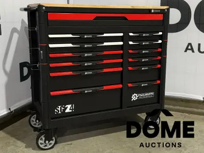 Stahlgruppe SG24 professionele gevulde gereedschapswagen – kavel bij Dome Auctions, Waasmunster