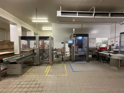 GUELT F110L - Izipick 115 GUELT – F110L / IZIPICK 115 Automatic Forming and Robotic Case Packing Line with ABB FlexPicker Robot – kavel bij Dome Auctions, Kingersheim