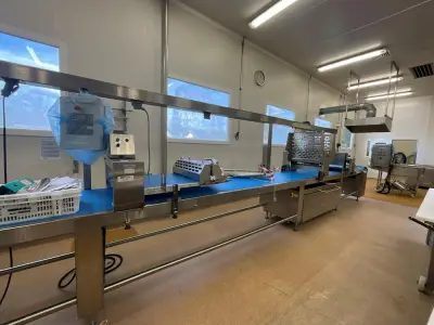 RONDO Star Line: Puff Pastry and Shortcrust Pastry Cutting and Shaping Line – kavel bij Dome Auctions, Kingersheim