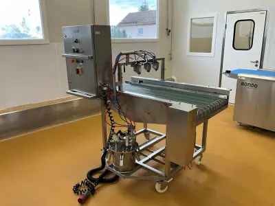 Conveyor-mounted placement machine – kavel bij Dome Auctions, Kingersheim