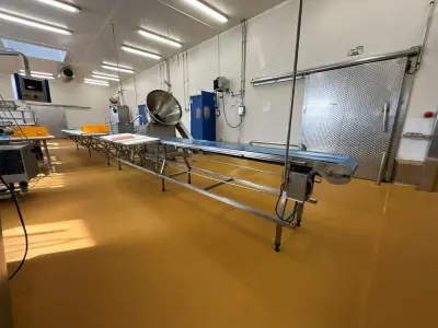 Long conveyor belt – kavel bij Dome Auctions, Kingersheim