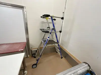 TUBESCA SHERPAMATIC Rolling Step Ladder – kavel bij Dome Auctions, Kingersheim