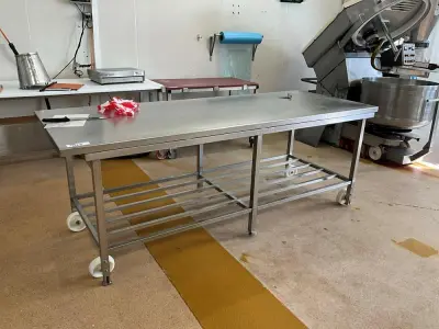 Stainless Steel Table – kavel bij Dome Auctions, Kingersheim