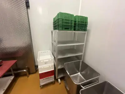 Rolling cart with plastic crates – kavel bij Dome Auctions, Kingersheim