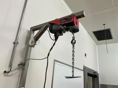 2020 Electric Hoist – kavel bij Dome Auctions, Kingersheim