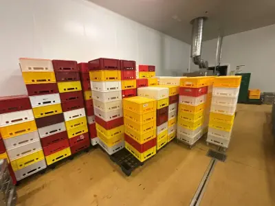 Large batch of plastic food containers – kavel bij Dome Auctions, Kingersheim