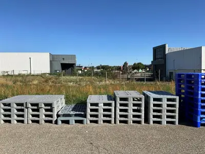 Set of 23 plastic pallets – kavel bij Dome Auctions, Kingersheim