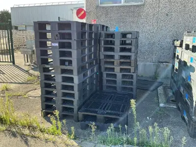 Set of 35 plastic pallets – kavel bij Dome Auctions, Kingersheim