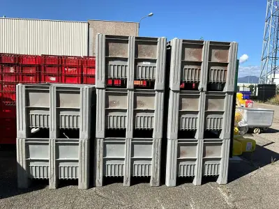 Set of 8 crates - plastic pallet – kavel bij Dome Auctions, Kingersheim