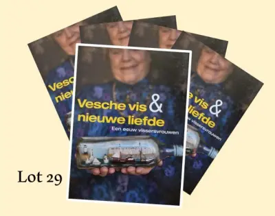 Bulk DVD's Vesche vis & nieuwe liefde – kavel bij Openbare Verkopen, Sint-Andries