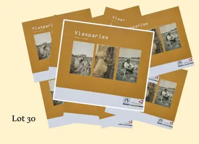 Bulk boeken Vlasparlee – kavel bij Openbare Verkopen, Sint-Andries