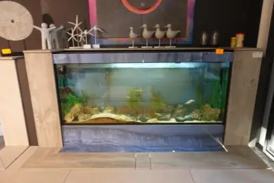 Aquarium – kavel bij Openbare Verkopen, Wevelgem