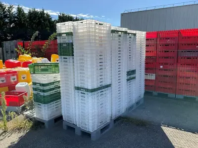 Set of 238 plastic baskets – kavel bij Dome Auctions, Kingersheim