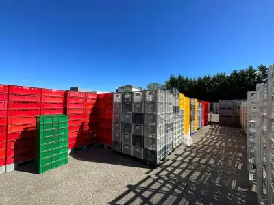 Set of small plastic crates – kavel bij Dome Auctions, Kingersheim