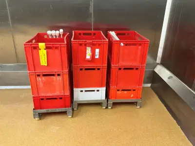 Set of 9 small plastic crates with 3 crate rollers – kavel bij Dome Auctions, Kingersheim