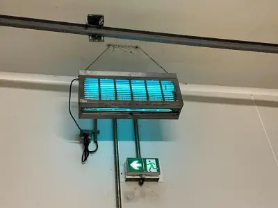 Insect Killer – kavel bij Dome Auctions, Kingersheim