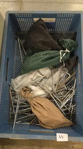 kist met tentharingen – kavel bij Openbare Verkopen, Aalst