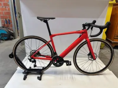 BMC Roadmachine Amp maat 51 – kavel bij Openbare Verkopen, Ingelmunster