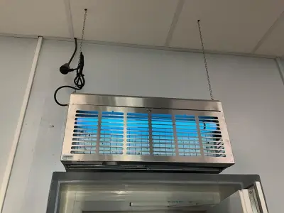 Insect Killer – kavel bij Dome Auctions, Kingersheim