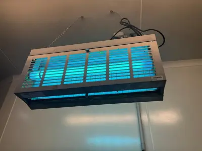 Insect Killer – kavel bij Dome Auctions, Kingersheim