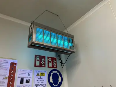 Insect Killer – kavel bij Dome Auctions, Kingersheim