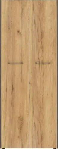 Archiefkast Robert 196 cm 2 deuren - antraciet/eik – kavel bij Openbare Verkopen, Beveren-Leie