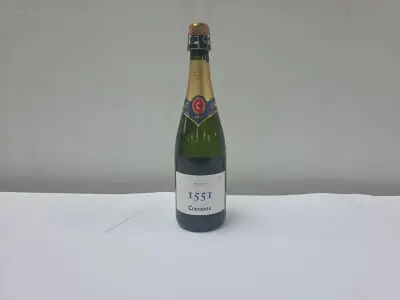 (25x) fles(sen) Cava Codorniu 1551 Herencia 75 – kavel bij Auctim, Aartselaar