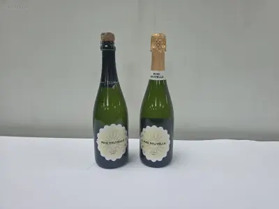 (36x) fles(sen) Cava Puig Solivella 75 – kavel bij Auctim, Aartselaar