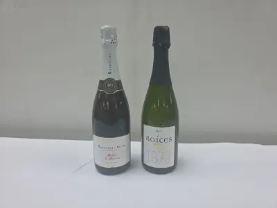 (20x) fles(sen) Diverse flessen Cava 75 – kavel bij Auctim, Aartselaar