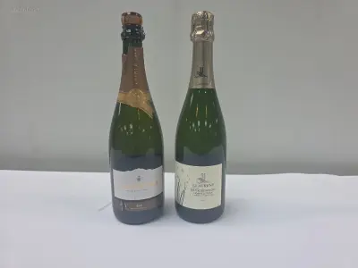 (20x) fles(sen) Diverse flessen mousserende – kavel bij Auctim, Aartselaar