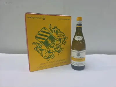 (24x) fles(sen) Terre die Sampaolo 75 – kavel bij Auctim, Aartselaar