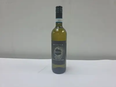 (34x) fles(sen) Infinitum Pinot Grigio Delie – kavel bij Auctim, Aartselaar
