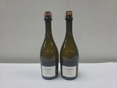 (18x) fles(sen) Spumante ODD Bird 75 – kavel bij Auctim, Aartselaar