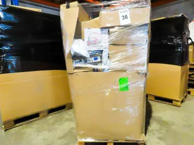 Verloren Postpakketten, Retouren & Overstock – kavel bij Auctim