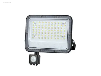 (4 x) 4 x 50W 5000K LED Breedstralers met Sensor – kavel bij Auctim, Puurs